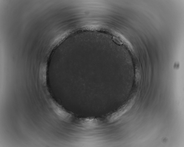 X0000101980493200808011103