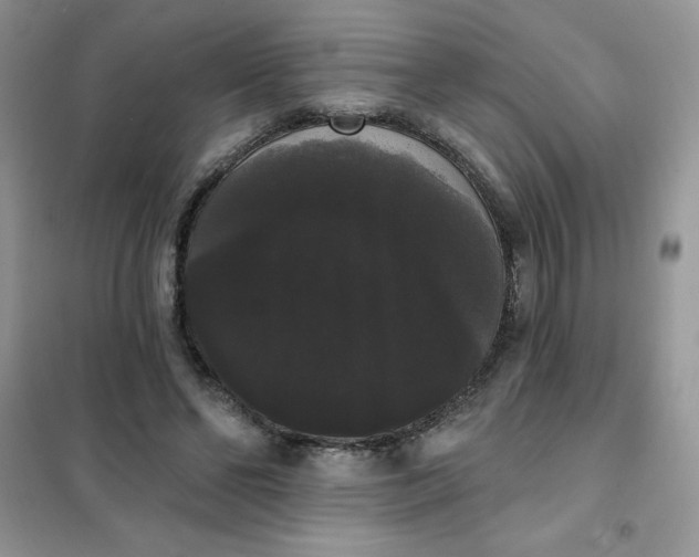 X0000101980494200808011103