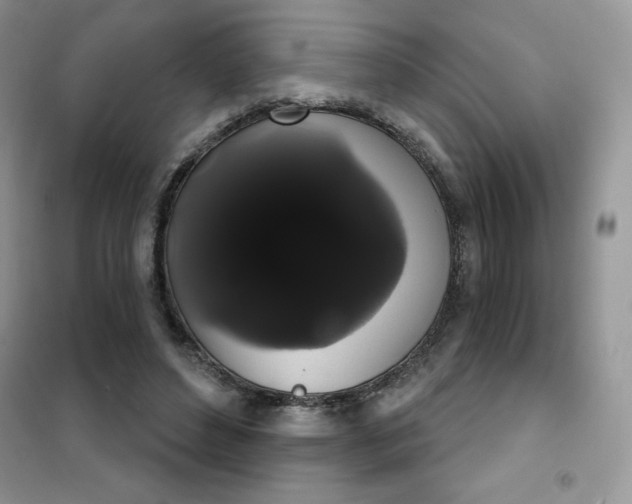 X0000101980496200808011103