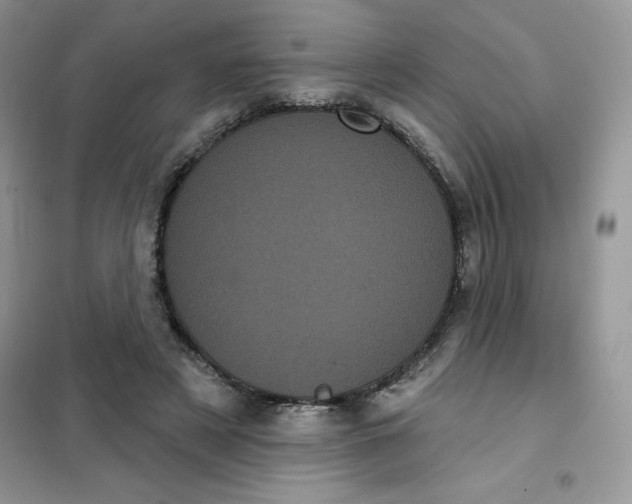 X0000101980497200808011103