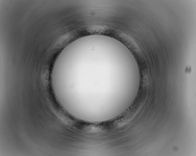 X0000101980498200808011103