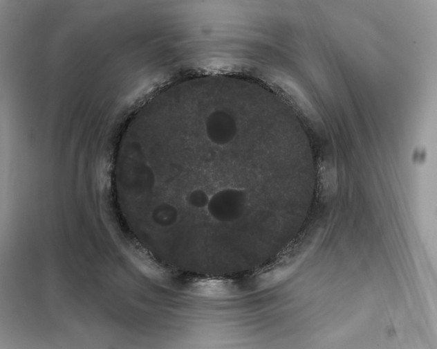 X0000101980499200808011103