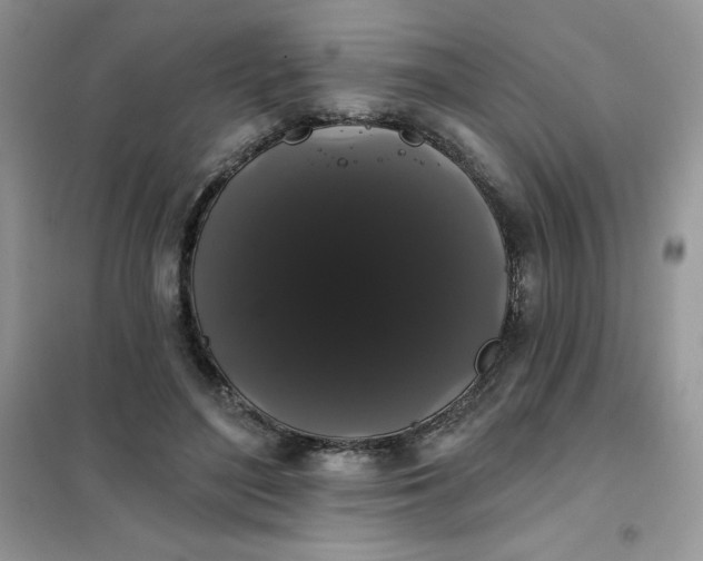 X0000101980500200808011103