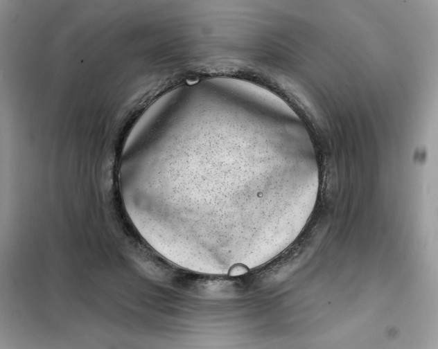 X0000101980501200808011103