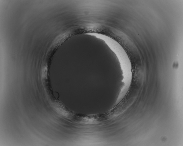 X0000101980502200808011103