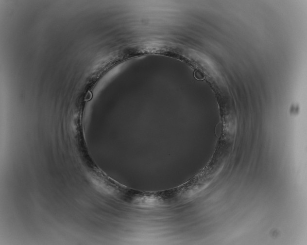 X0000101980503200808011103