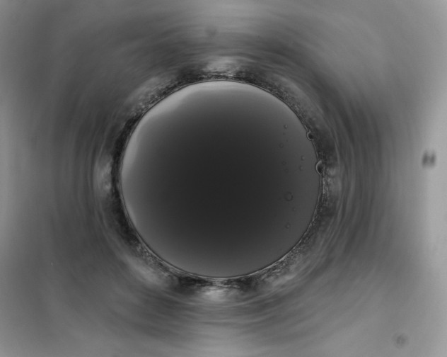 X0000101980504200808011103