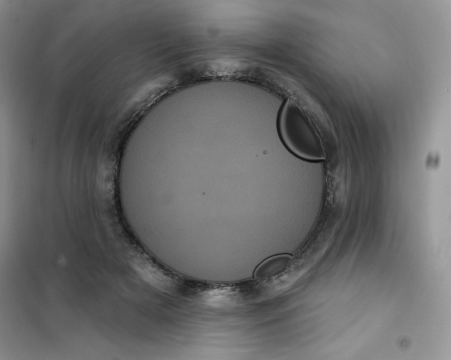 X0000101980505200808011103