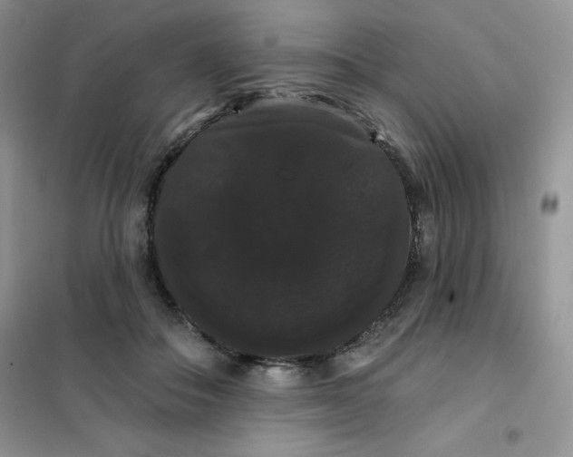 X0000101980506200808011103