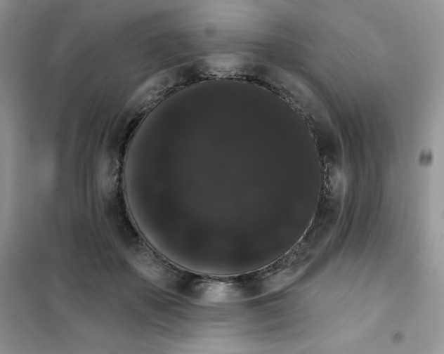 X0000101980507200808011103