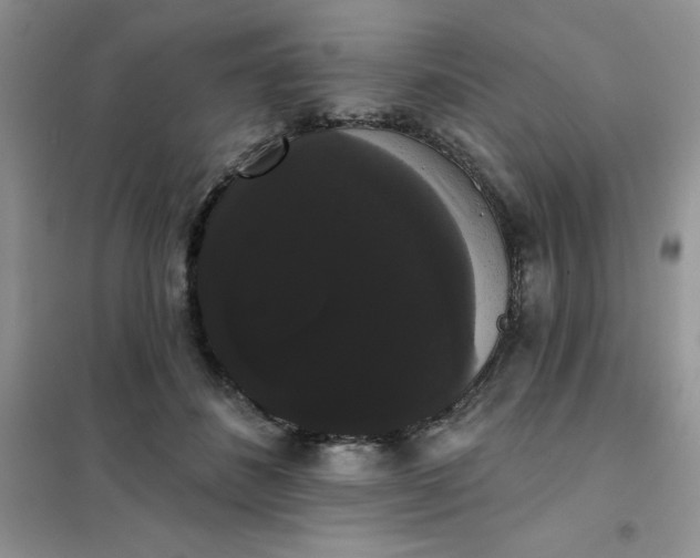 X0000101980508200808011103