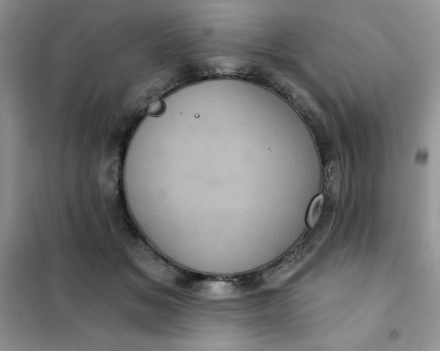 X0000101980509200808011103