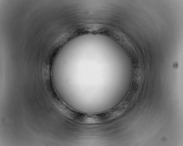 X0000101980510200808011103