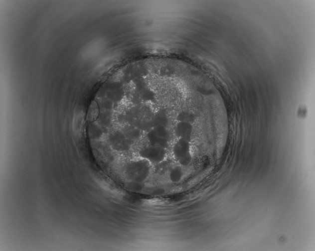 X0000101980511200808011103