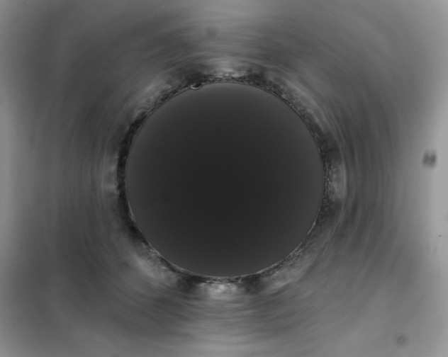 X0000101980512200808011103