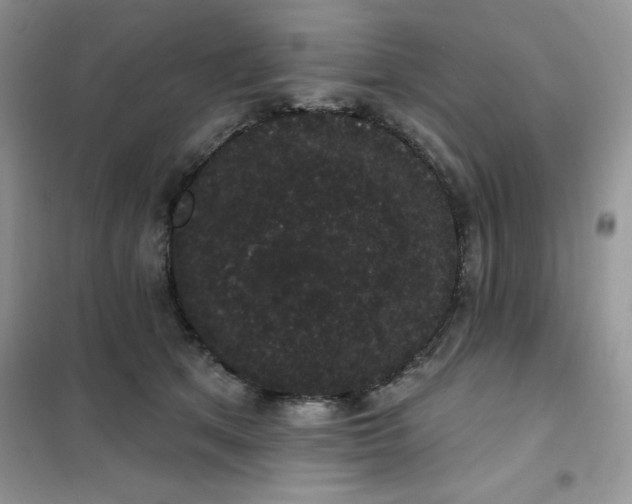 X0000101980513200808011103