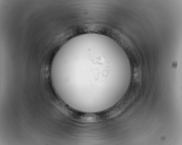 X0000101980514200808011103