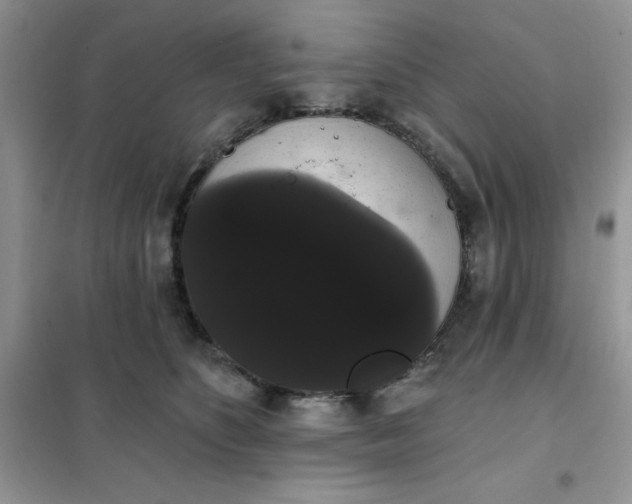 X0000101980516200808011103