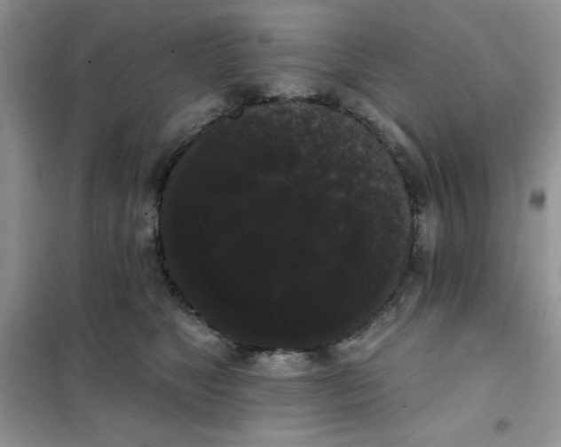 X0000101980517200808011103