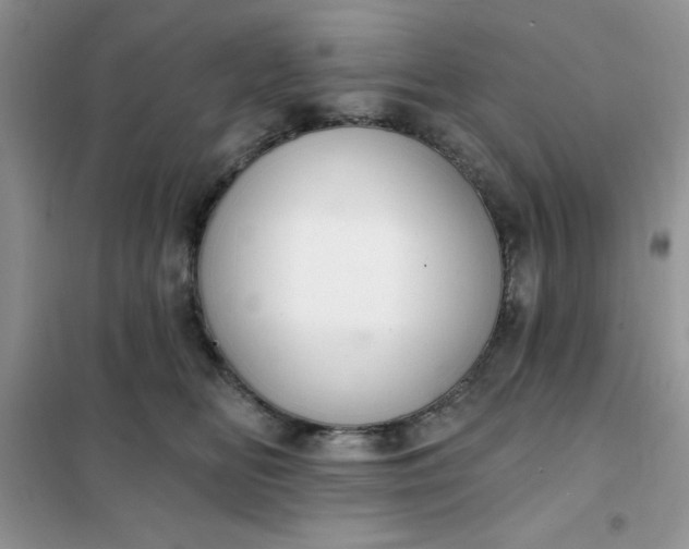 X0000101980518200808011103