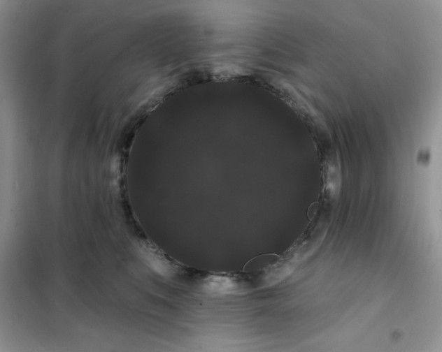 X0000101980519200808011103