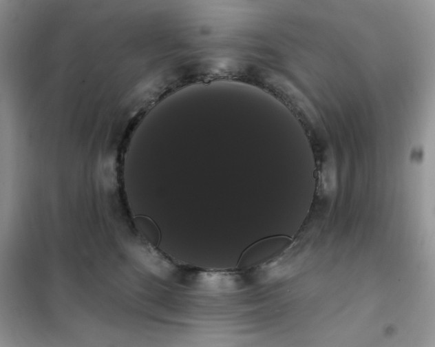 X0000101980520200808011103