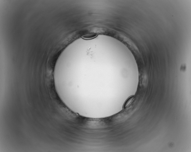 X0000101980521200808011103