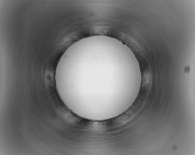 X0000101980522200808011103