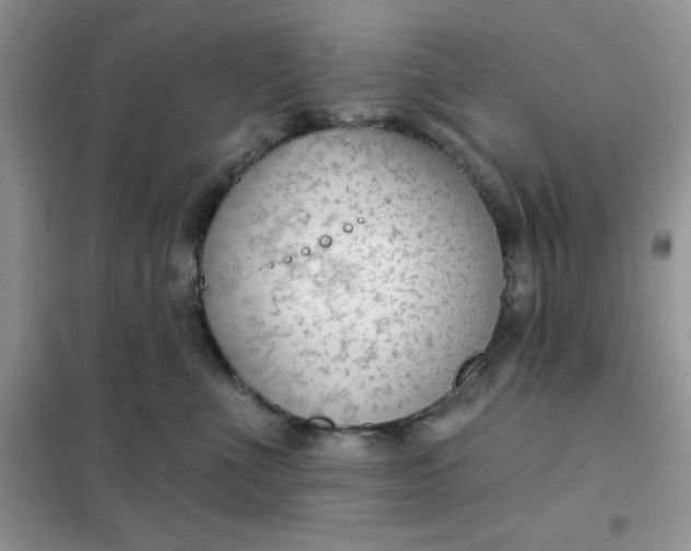 X0000101980523200808011102