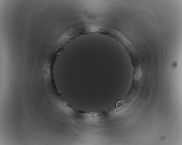 X0000101980524200808011102