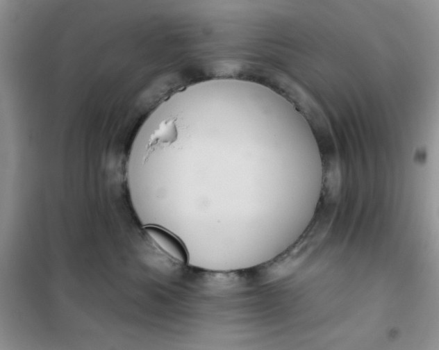 X0000101980525200808011102