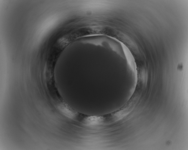 X0000101980526200808011102