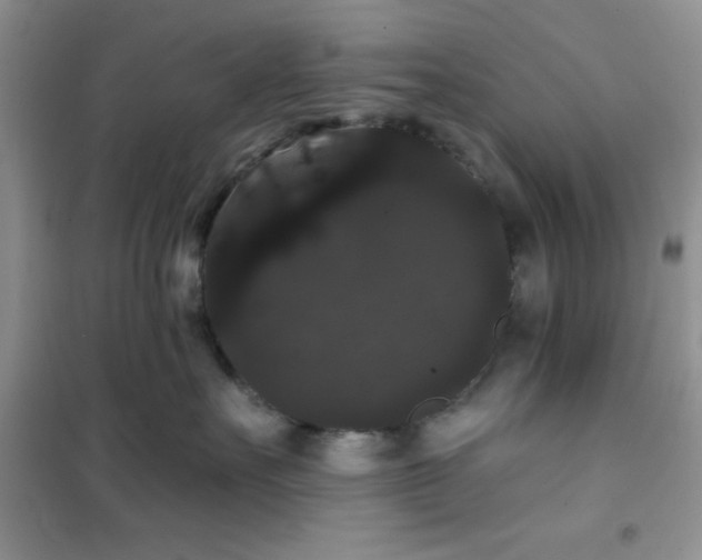 X0000101980527200808011102