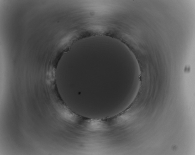 X0000101980528200808011102