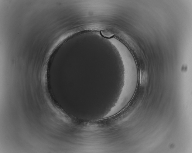 X0000101980531200808011102