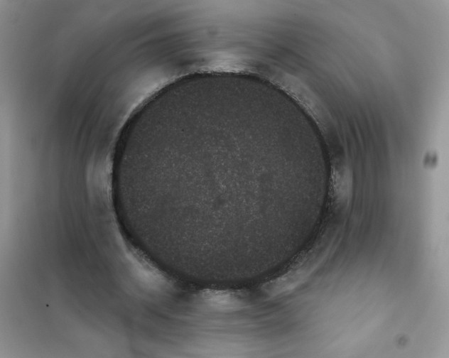 X0000101980534200808011102