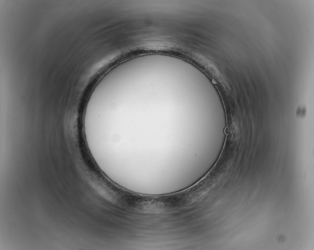 X0000101980535200808011102