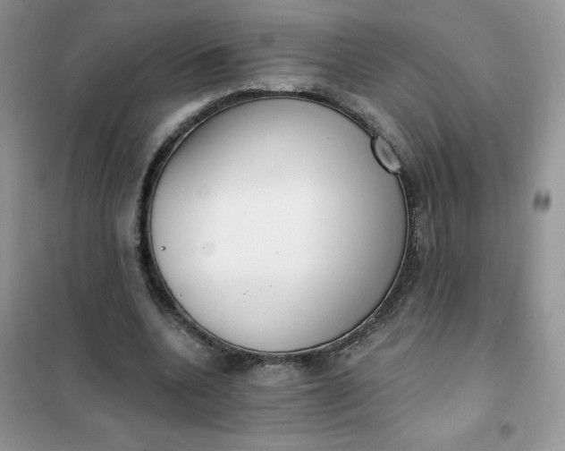 X0000101980536200808011102