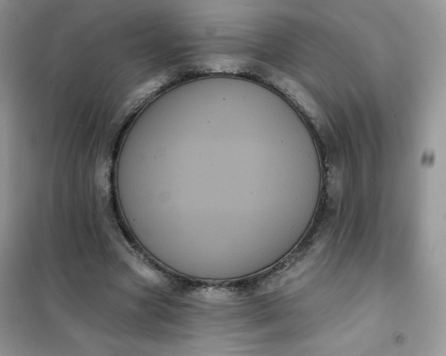 X0000101980537200808011102