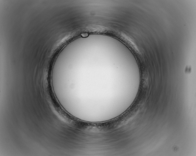 X0000101980538200808011102