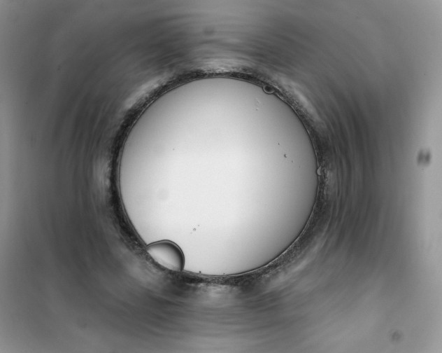 X0000101980539200808011102