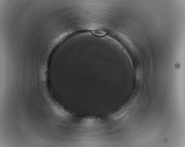 X0000101980540200808011102