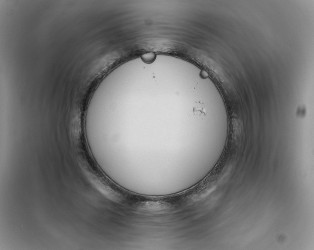 X0000101980541200808011102