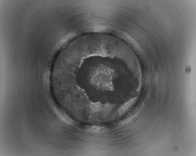 X0000101980542200808011102