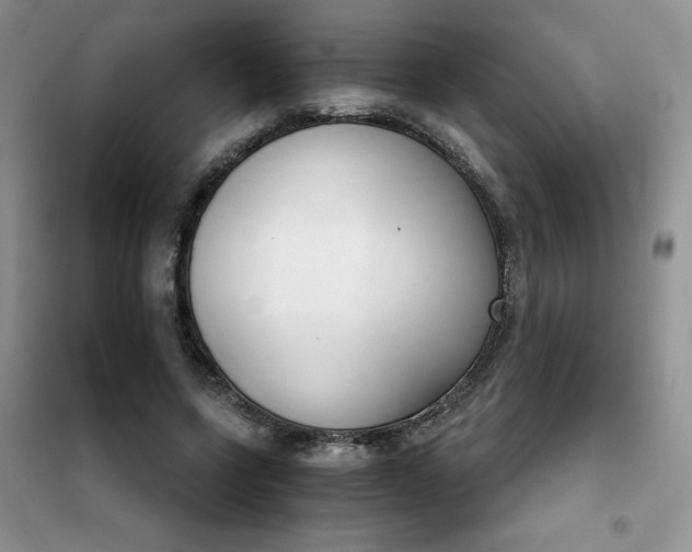 X0000101980543200808011102