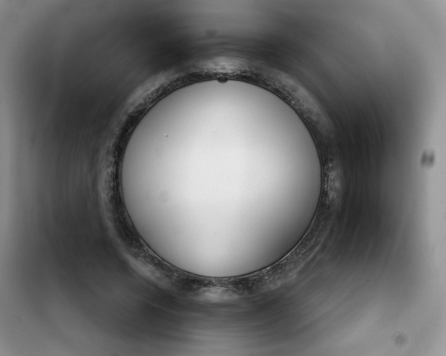 X0000101980544200808011102