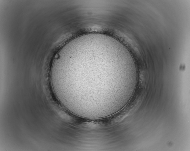 X0000101980545200808011102