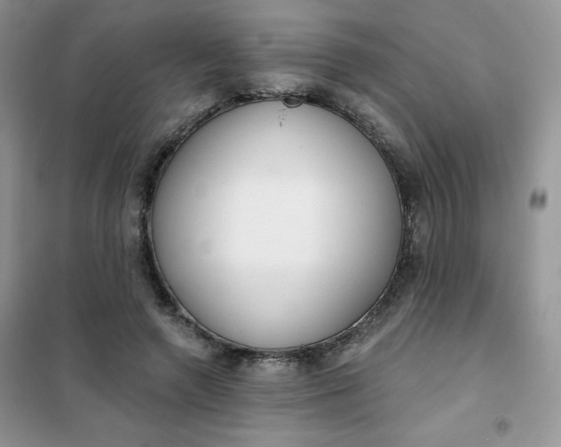 X0000101980546200808011102