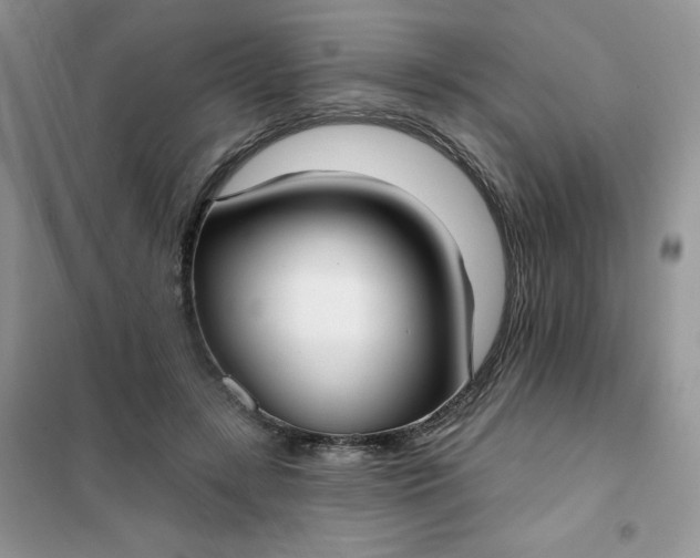 X0000101980547200808011102