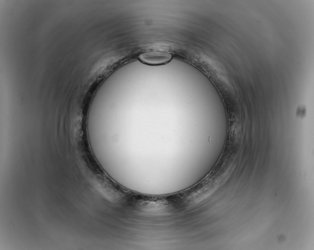 X0000101980548200808011102